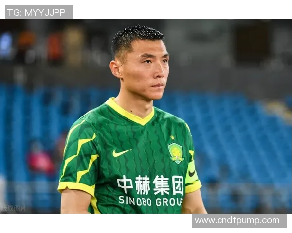 足球明星鲁能鲁能名将的辉煌历程与传奇故事揭秘 足球明星鲁能鲁能名将的辉煌历程与传奇故事揭秘