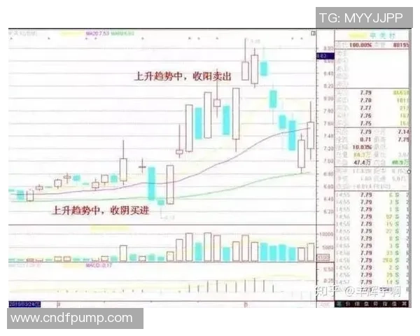 武汉篮球队与北京篮球队赛后状态分析与复盘总结