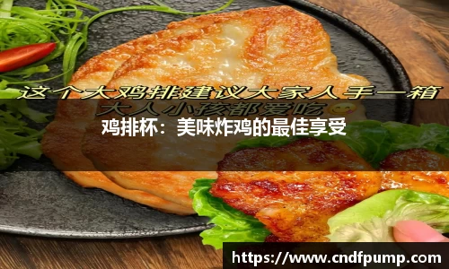 鸡排杯：美味炸鸡的最佳享受