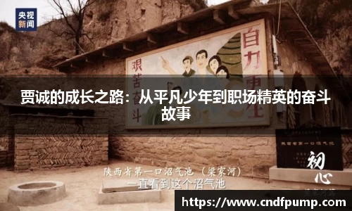 贾诚的成长之路：从平凡少年到职场精英的奋斗故事