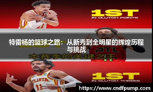 特雷杨的篮球之路：从新秀到全明星的辉煌历程与挑战