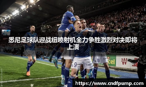 悉尼足球队迎战纽喷射机全力争胜激烈对决即将上演